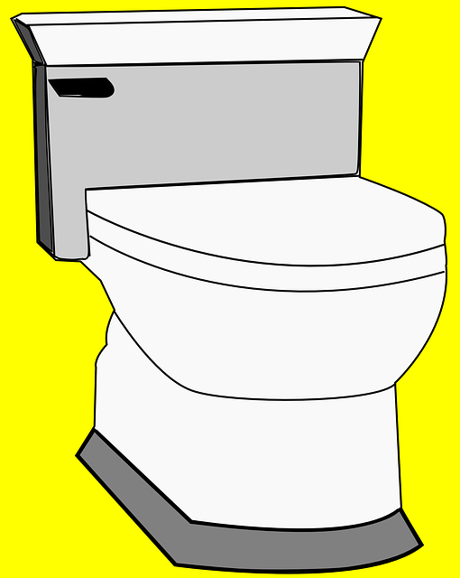 Senior-Friendly Porta Potties in League City – Affordable & Accessible for Large Events!