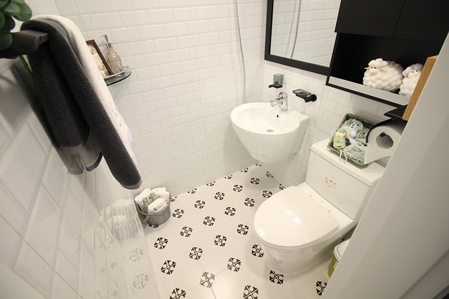 🚽 Affordable Temporary Toilet Rentals in Galveston, TX – Get Quality Service at Great Prices!