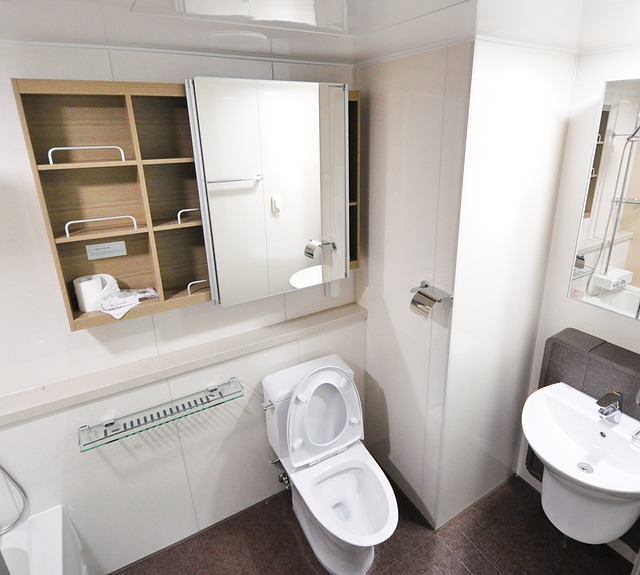 Luxury Porta Potty Rentals in The Woodlands: Premium Amenities at Economical Cost Per Day