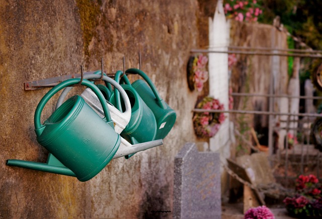 Maintain Pristine Hygiene and Save at McAllen’s Portable Hand Washing Stations for Large Events!