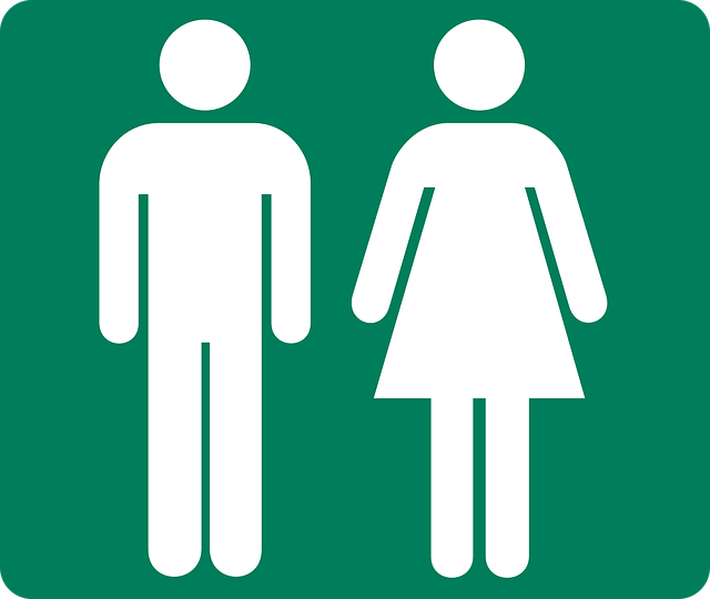portable toilet