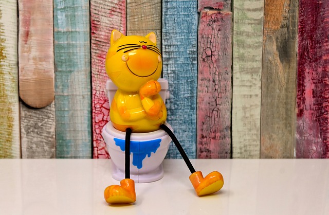 portable toilet