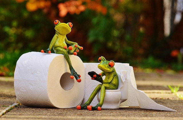 portable toilet