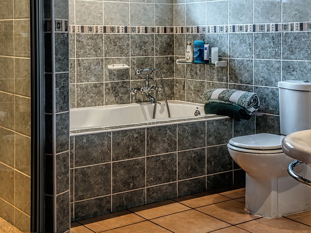 Plano’s Best: Save Big on Top-Quality Portable Bathrooms for Seniors