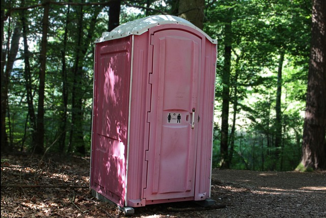 Plano’s Luxury Porta Potty Rental: Unmatched Comfort at Unbeatable Costs