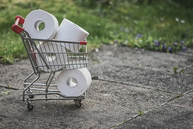 Save Money on Temporary Toilets? Free Delivery in League City TX Today!