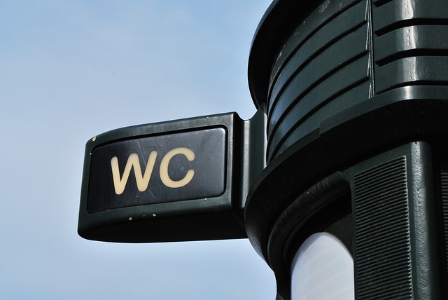 Transform Your Events: Stylish, Portable Toilets in McAllen, TX – Save Time & Money!