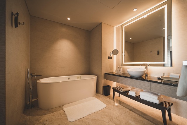 Experience Luxury: Save Money on VIP Portable Toilets in McAllen, TX