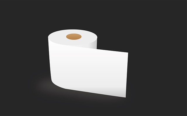 portable toilet