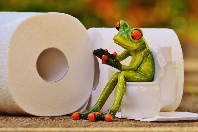 portable toilet