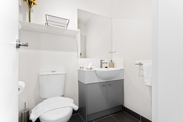 portable toilet