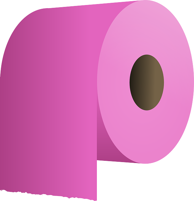 portable toilet