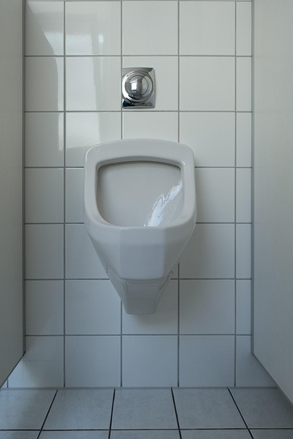 portable toilet
