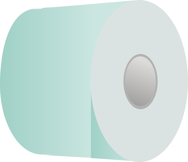portable toilet