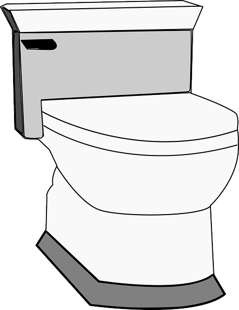 portable toilet