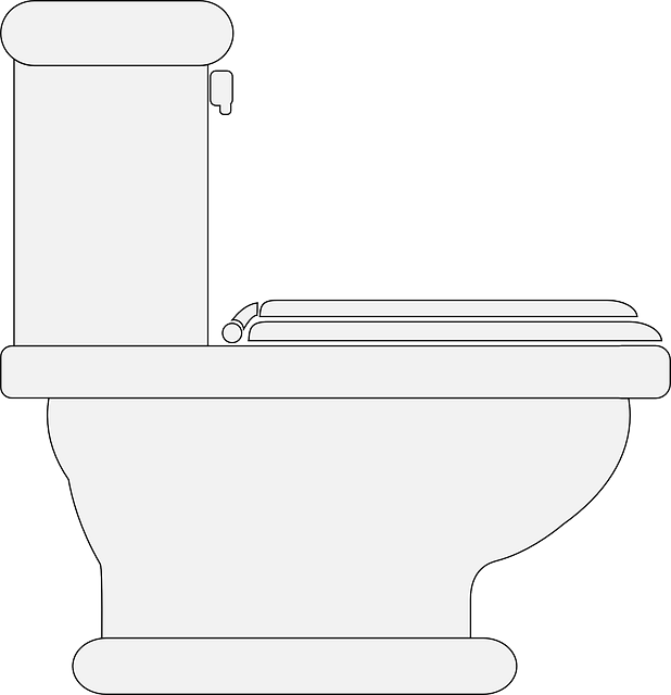 portable toilet
