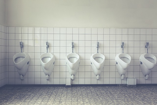 portable toilet