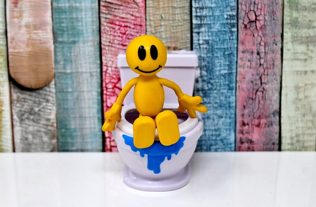 Save Money & Ensure Comfort: Top-Quality Outdoor Porta Potties in Rosenberg TX