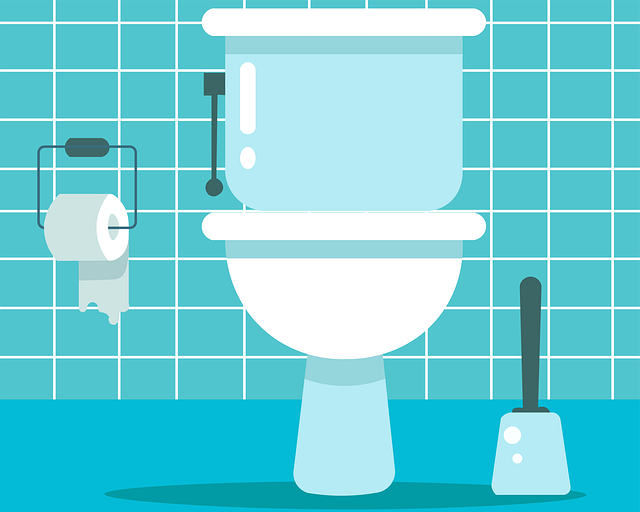 portable toilet