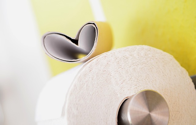 Elevate Your Event Space: Stylish, Senior-Ready Porta Potties for Rosenberg TX