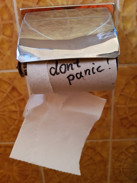 portable toilet