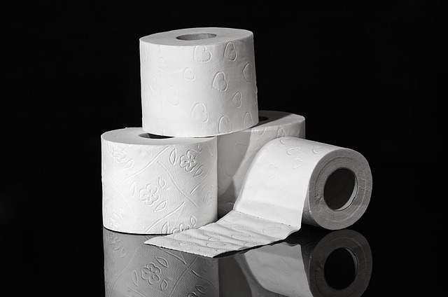 portable toilet