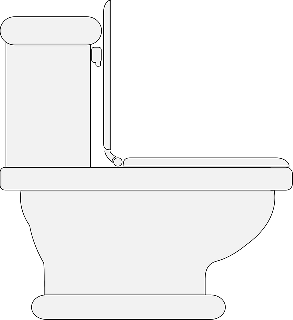 portable toilet