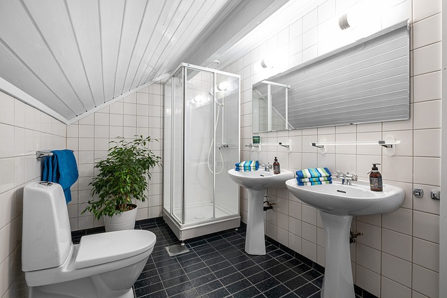 portable toilet