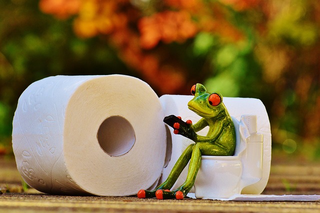 portable toilet
