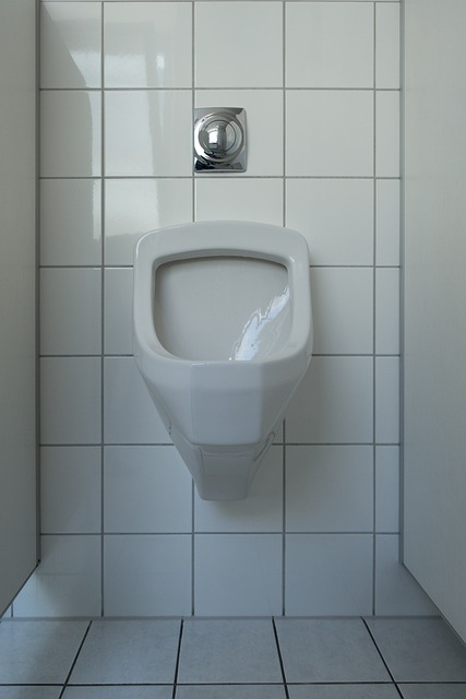 portable toilet