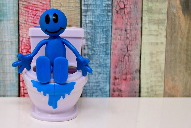 portable toilet