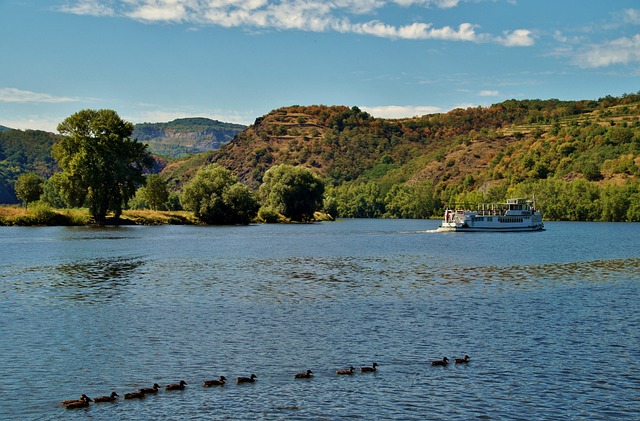 Elevate Your Wedding in Amarillo: Portable Restrooms, Luxury Savings.