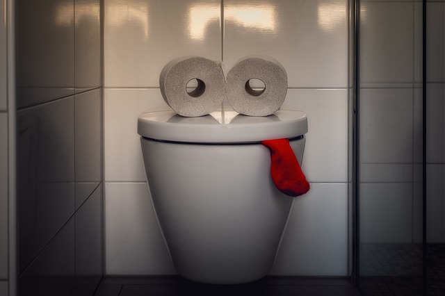 portable toilet