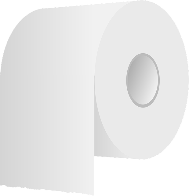 portable-toilet-640x480-68492310.png