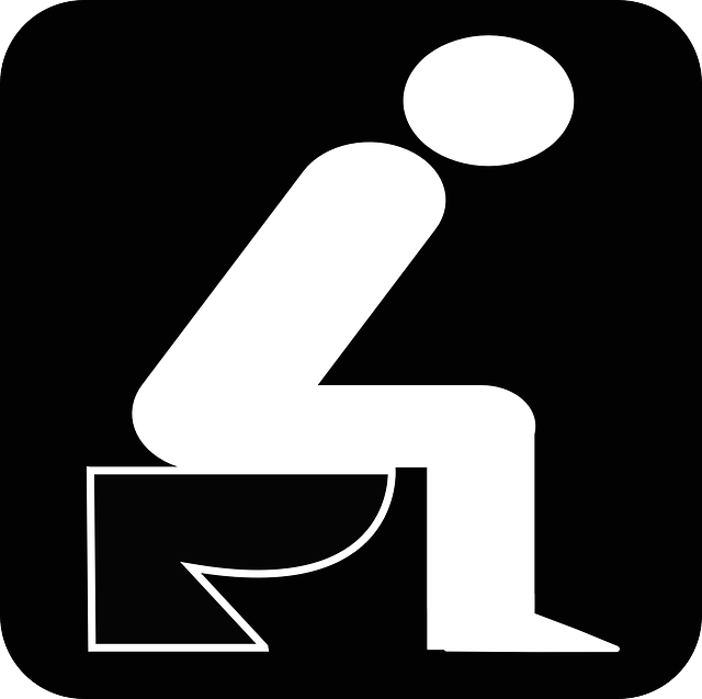portable toilet