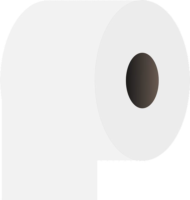 portable-toilet-640x480-24942320.png