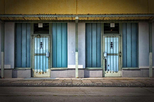 Transform Your Event: Spacious, Safe, & Senior-Friendly Porta Potties in Plano TX