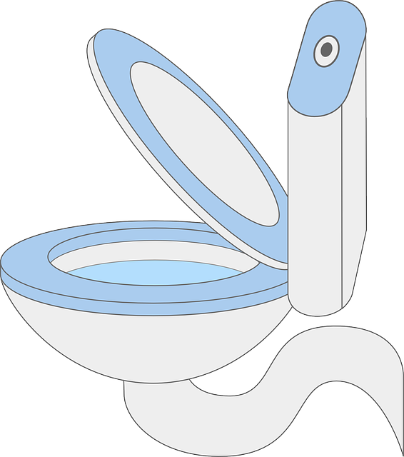 Experience Luxury with Affordable Deluxe Portable Toilet Rentals in Rosenberg TX!