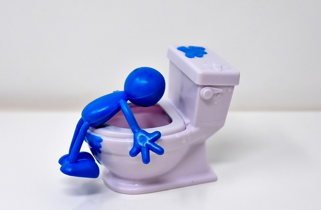 portable-toilet-640x480-86200744.jpeg