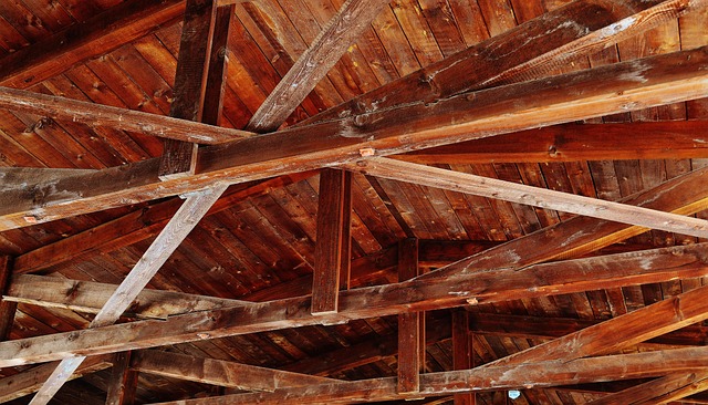 Ceiling Water Leak Repair McKinney TX