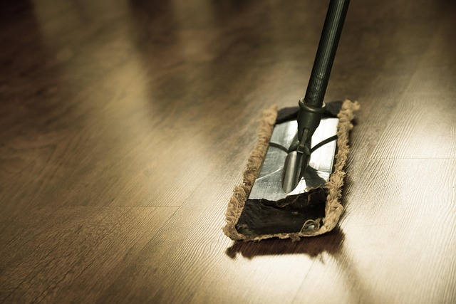 Cleaning Mold And Mildew McKinney TX