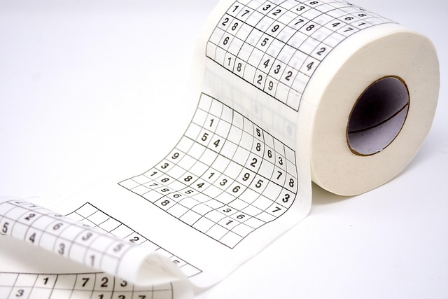 Compostable toilet seat covers for events