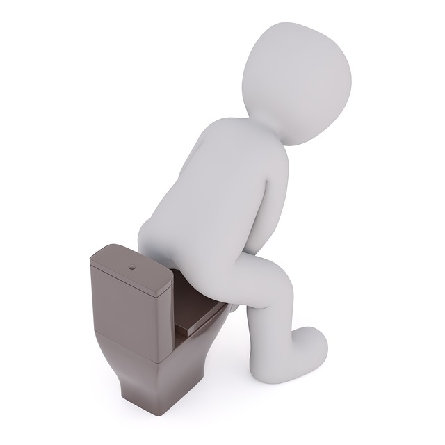 Compostable toilet seat covers for events