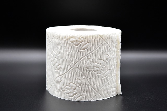 Compostable toilet seat covers for events