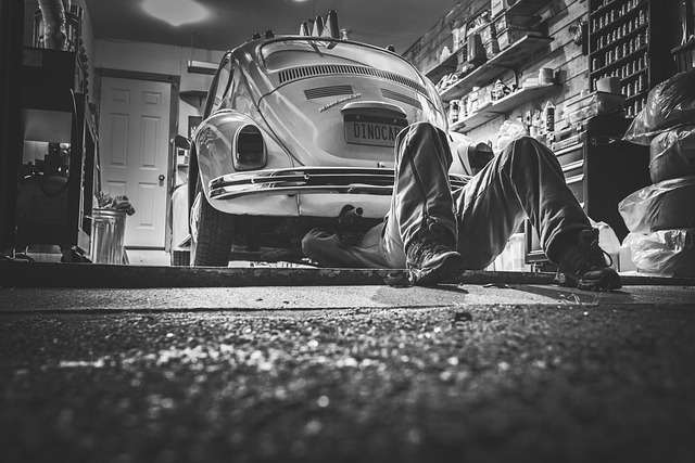 Dehumidification Services McKinney TX