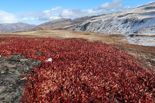 easy-to-transport potties for hiking