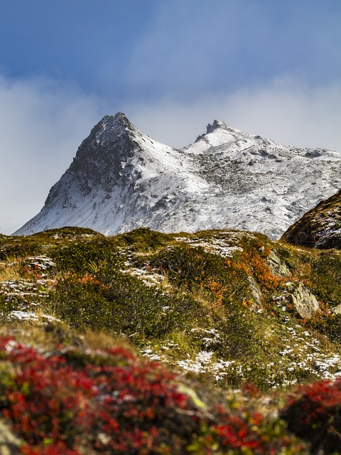 easy-to-transport potties for hiking