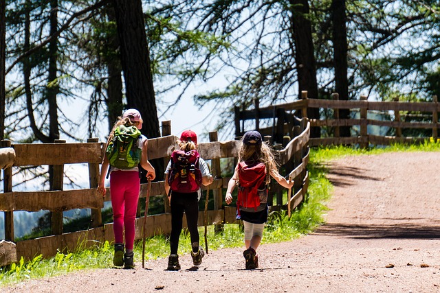 easy-to-transport-potties-for-hiking-640x480-20125647.jpeg