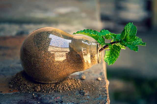 Eco-friendly