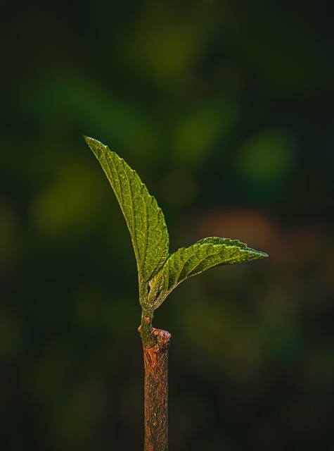 Eco-friendly